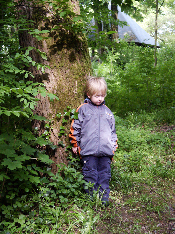 Kind im Wald beim Wandern (© magicpen  / pixelio.de)