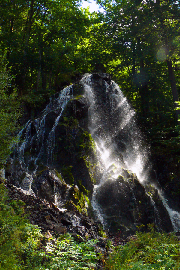 Wasserfall bei Torfhaus im Harz (© JUREC / pixelio.de)