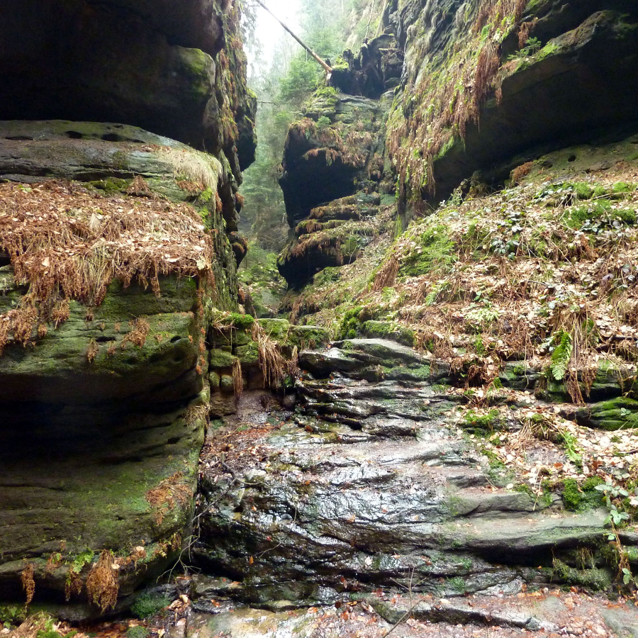 Felsen auf dem Malerweg im Elbsandsteingebirge (© Jerzy Sawluk / pixelio.de)