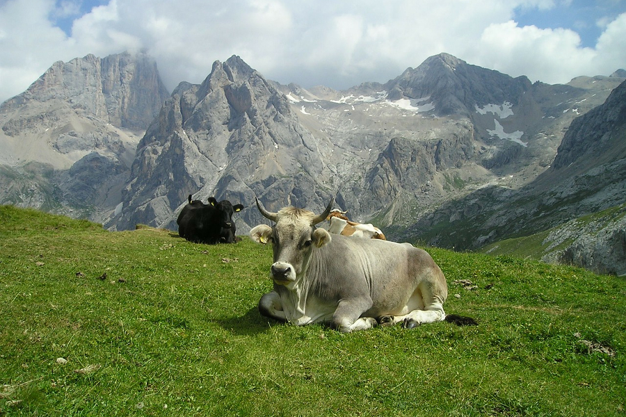 Wanderferien in Südtirol (© pixabay.com)