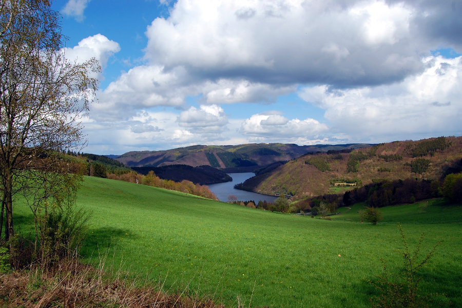 Blick auf die Rurtalsperre (© Thomas Max Müller / pixelio.de)