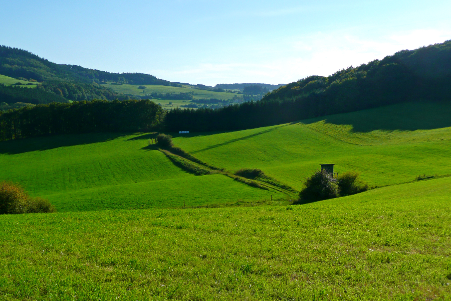 Eifelwiese (© Gabriele genannt Gabi Schoenemann / pixelio.de)